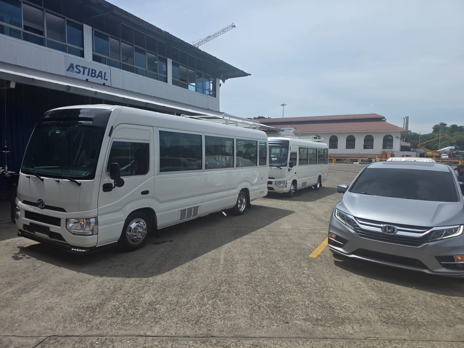 Buses Toyota Coaster blancos de la flota TMP